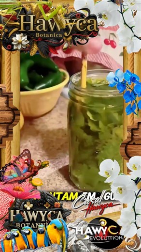 Verde Ancestral Botanico (#50) #plantas Alquimia das Raízes #mundoverde #verde #jardinagem #natureza