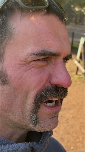 Review of the One Piece Tournament hunting recurve bow - more in the channel! #archery #sports #y...