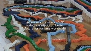 31 reactions | When we choose non-GMO today, we support a better future for farmers worldwide. What’s your choice? What’s your butterfly effect? | Non-GMO Project | Facebook