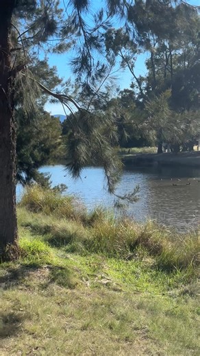 Penny Petridis on Reels