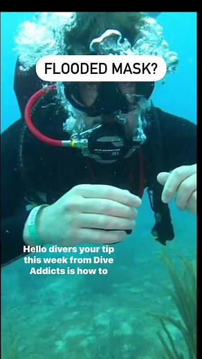 You will use this skill repeatedly while scuba diving! These tips will make sure you have a great dive! Dive Addicts has a full line of top quality masks available now at diveaddicts.com#diveaddicts #protip #scuba #diving #scubadiving #underwater #mask #scubatips #divetips #scubainstruction #learntodive #learnscuba #diveshop | Dive Addicts