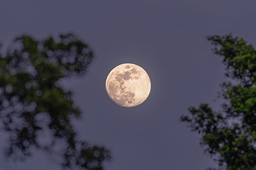 The Truth About Apollo 18's Conspiracy Claims