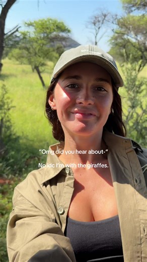 Giraffes in South Africa: A Safari Adventure