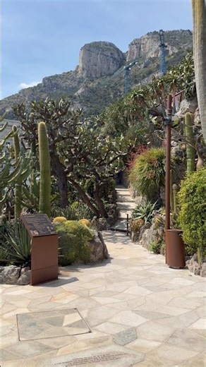 Monaco Nature Spot 🌵 Unreal Panorama