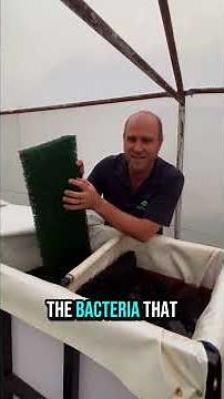 Mechanical and Biological Filtration in aquaponics system