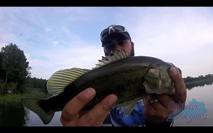 9.8K views · 32 reactions | S1E18 - Frog Top Water Fishing in Kentucky Some #tips and #action on #topwater fishing with different frog baits. Get a #sneakpeak of the #NEW Zoom Bait Frog! #outinthebg #ZOOMBaits SHARE and be entered to #WIN a pack of #Zoom Frogs! Drawing 9/8/17 | Then&Now Outdoors | Facebook