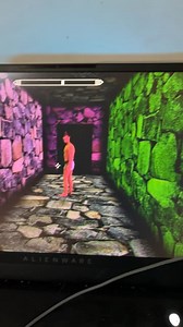 Anyone ever been to this weird place where dead NPCs end up? I teleported to an npc I couldn’t find and ended up here