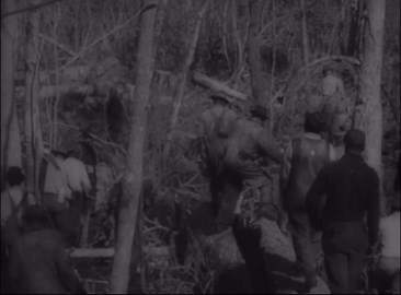 Loggers vs. the Everglades: History’s Toughest Job