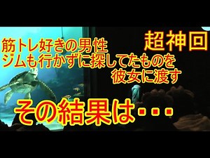 【超神回】筋トレ好きの男性、ジムも行かずに探してたものを彼女に渡す【タートルトーク】東京ディズニーシー