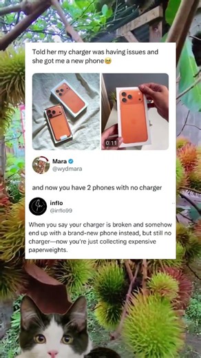 Charger Problem, Phone Solution 😂 #memes #funny #usa