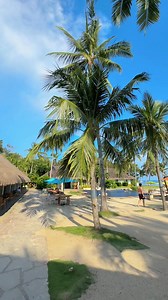 The resort’s beauty captures the heart of summer and holds it steady, creating an oasis where you can relive your favorite summer memories, no matter what month it is. Come and visit us now!www.oceanicaresortpanglao.com #oceanicaresort #oceanicaresortpanglao#travel #beach #island #paradise #tropical #panglaoisland #Panglao #Bohol#LovethePhilippines #funplace #beachgetaway #beachdestination #familygetaway#OceanicaBeachHoliday #baliksabohol #보홀 #팡라오 #리조트 #보홀여행 #보홀리조트 #해변 #노을 #다이빙 | Oceanica Resort