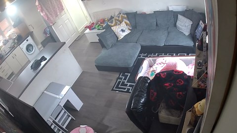 Home destroyed as smart toaster sets fire to ice maker and air fryer