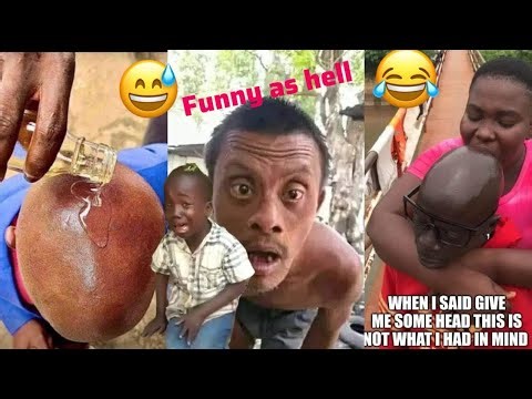 You Will Laugh Till You Wet Your Pants || Craziest Funniest Videos Around The World