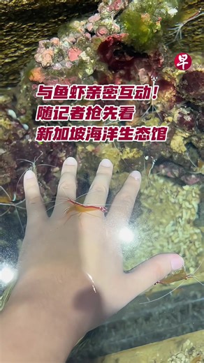新加坡海洋生态馆开幕：探索海洋奇观
