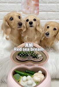 炊飯器で作る美味しい鯛めしレシピ