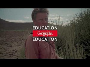 Learn about plant life in the Namib Desert