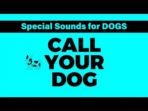 CALL YOUR DOG with these Special Sounds