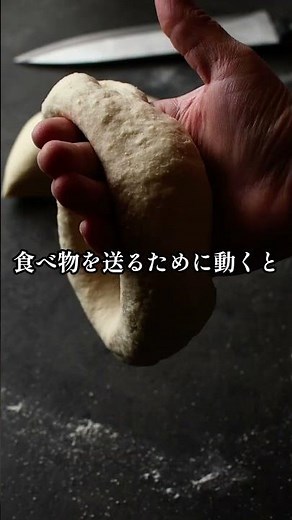 なぜお腹は鳴るのか？知らないと恥ずかしい仕組み