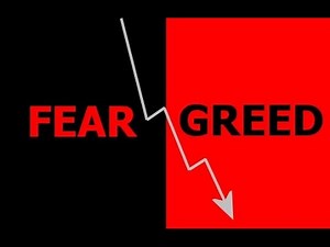 What is the Fear and Greed Index?
