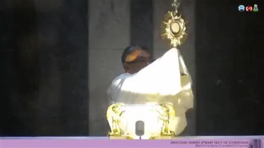 #blessedsacrament #goviral #catholicdifenders