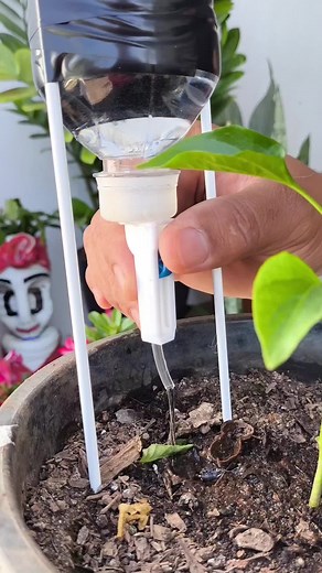 Como fazer um sistema de gotejamento para suas plantas - Dica simples e eficaz