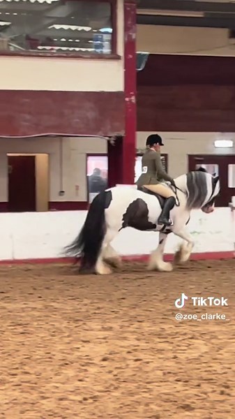 HOYS 2025: Celebrating Dreams and Achievements