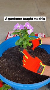 Use plant packaging as molds in your flower pot to create the perfect groove for plants to slide right in #gardening #flowers #plantlove #gardeningtips | Liz & Jeff