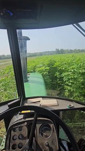 417K views · 2.5K reactions | Disking 6 foot tall weeds!!!  #bigtractorpower #farmequipment #johndeere #machine #agriculture #harvest #germanshorthairedpointer #farmer #farming | Michigan Farmer | Facebook