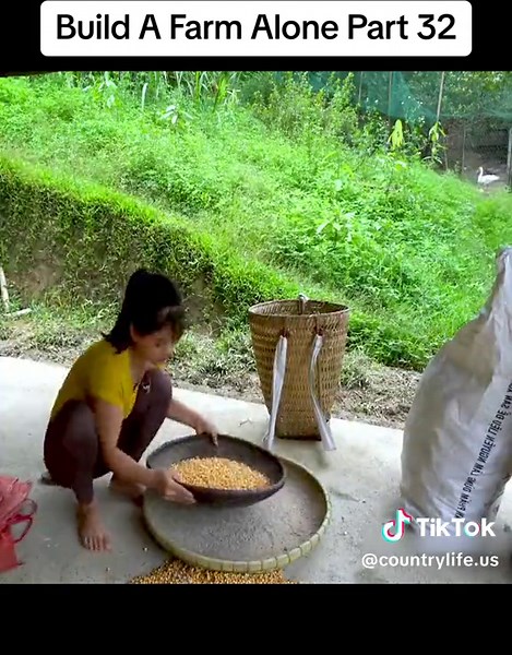 Building a farm part 32. #building #bushcraft #countrylifestyle🏕 #farm #farmlife #countrylife #education #countrylifestyle