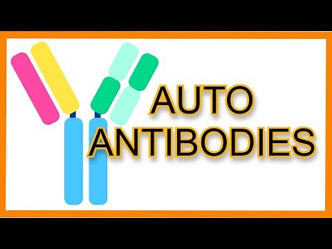 Autoantibodies Rapid Review