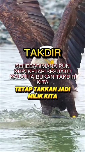 Assalamualaikum inspiring quote story video