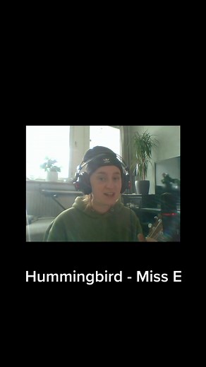 #hummingbird #ukulele #ukulelecover #cover #song #singer #sweden #artist