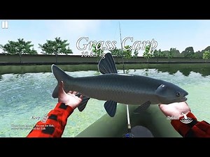Ultimate Fishing Simulator - Paris Siene | Android GamePlay Mobile Game