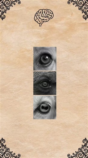 Discover Your Intuition with This Personality Test