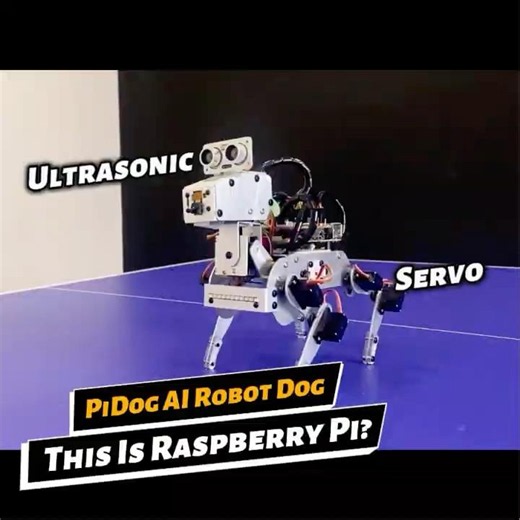 This AI Robot Dog Runs on Raspberry Pi 🤯 #robotdog #robotics #airobot #raspberrypi