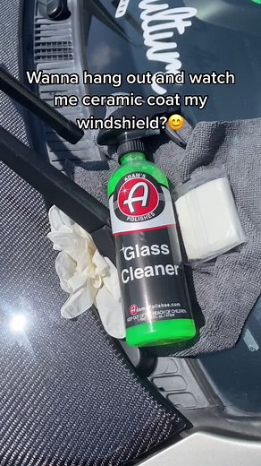 Elyse Janes on TikTok