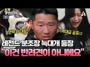 [#캔모아] "이건 개가 아니에요"😨🐺 레전드 공포를 불러일으키는 늑대개 '흑미'🐶💥 | 개와 늑대의 시간2 16회