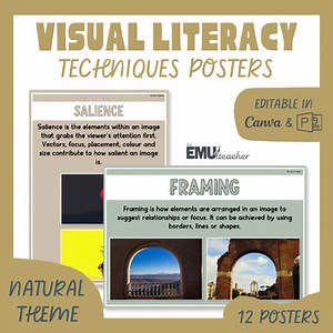Visual Literacy Technique Poster Natural Salience Framing Vector Colour Size