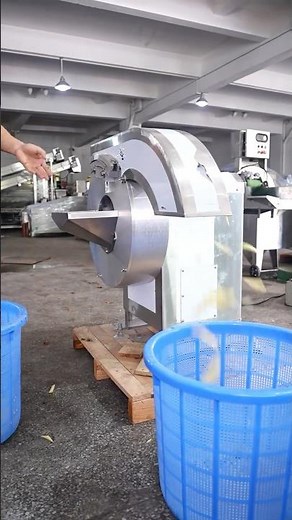 French fry cutter machine | vegetable and fruits strip cutting machine | Vegetable julienne machine
