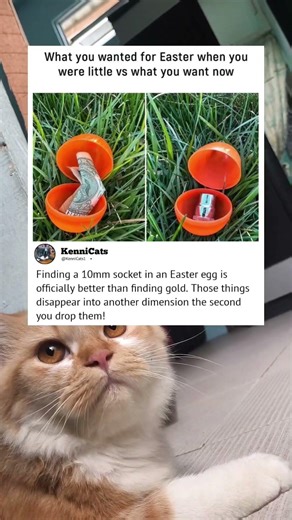 Finding a 10mm socket