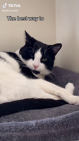 Best Music to Wake Up To: Top Songs for a Vibrant Morning