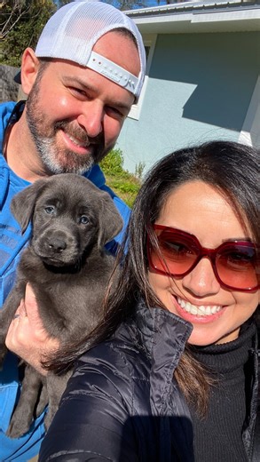 Rollo Alberto | “Rollo The Lab” on Instagram: "❤️Today, 3 years ago, we picked up Rollito and our lives changed forever. We didn’t know how much we needed him until he was here, bringing so much love, laughter, and a kind of happiness we never knew was missing. He is family, he is our little buddy and a constant reminder to appreciate the little things! Rollo is truly the sweetest boy and leaves a special memory on everyone he meets, bringing smiles wherever he goes. 🥹 Happy 3rd Gotcha Day, Rol