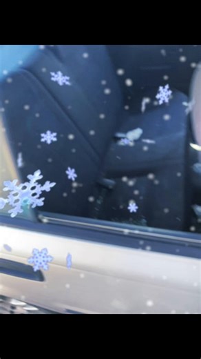 How to Replace a Window After a Car Break-In