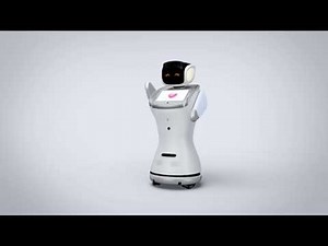 360 Demo: Sanbot Front and Back Specs
