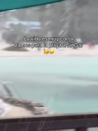 Playful Beach Day: Fun Moments by the Ocean