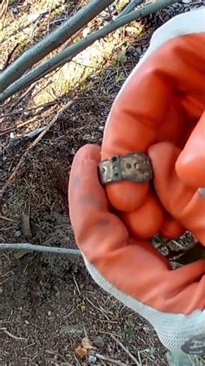 Short #184 - Fasten your seatbelt for this find. Metal Detecting with the Nokta Makro Simplex