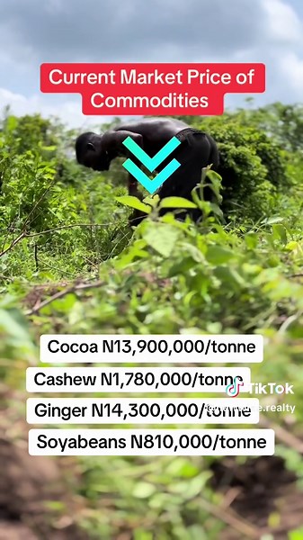 Explore Profitable Crops for Nigerian Farming