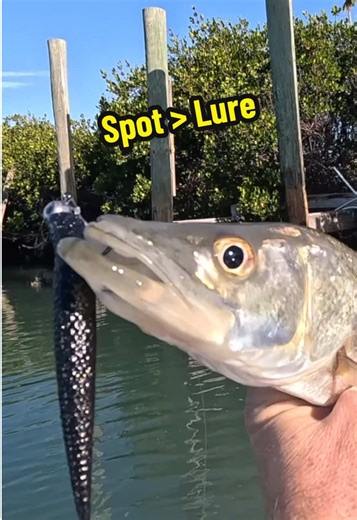 Master Winter Fishing: Catch More Fish Despite Cold Fronts