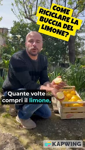Un altro piccolo consiglio da Vincenzo per non buttare nulla della frutta e verdura che hai in casa! #coltivare #agricoltura #ortoincasa #piante #consigliutili #limoni #riciclo | Azienda Agricola Biologica Durlindana