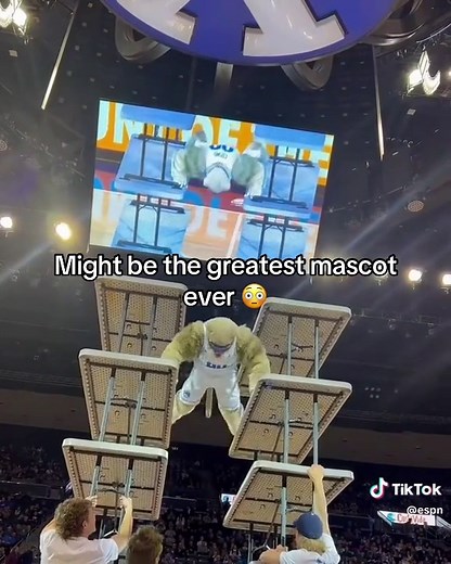The Greatest Mascot in Sports History